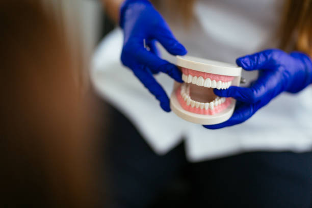 Best Dentures (Full and Partial)  in Norwood, PA